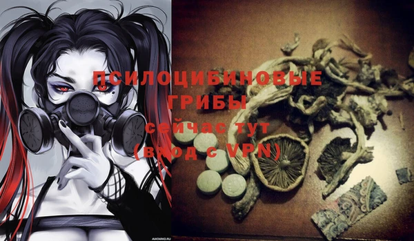 мдпв Балабаново