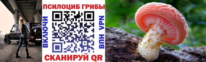 даркнет сайт  Новый Уренгой  Галлюциногенные грибы Cubensis 