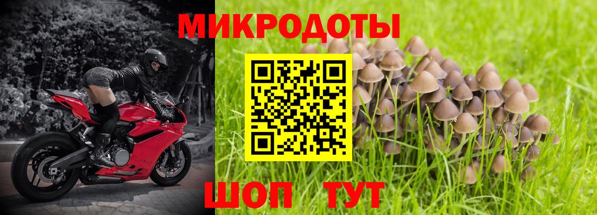 как найти закладки  Галлюциногенные грибы Psilocybine cubensis  Галлюциногенные грибы Cubensis  Вход с VPN  Новый Уренгой 