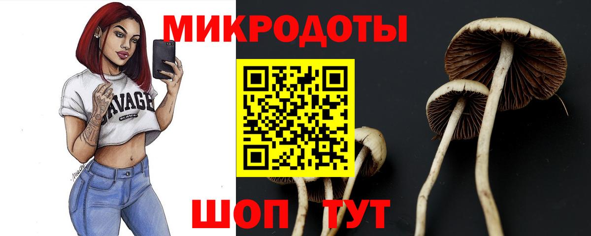Галлюциногенные грибы прущие грибы Новый Уренгой